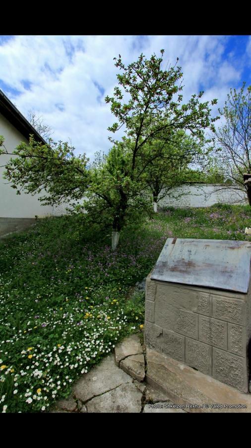 Bujtina Zhaveli Bed & Breakfast Gjakova ภายนอก รูปภาพ